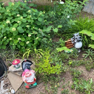 Объявление Дом, 26м2, 1 эт, 6 сот.