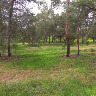 Объявление Дом, 608.1м2, 3 эт, 21.8 сот.