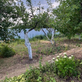 Объявление Дом, 26м2, 1 эт, 6 сот.